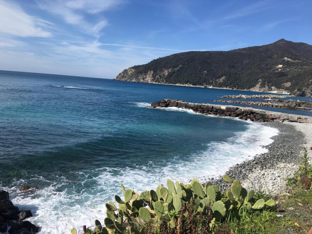 Mare Holiday home Moneglia